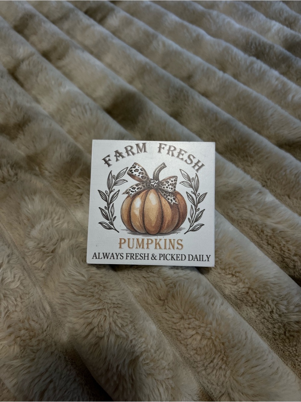Farm Fresh Pumpkins Decor - Neutral Tones and Leopard print